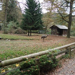 Ljubljana Zoo October 2013