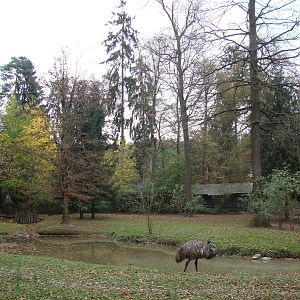 Ljubljana Zoo October 2013