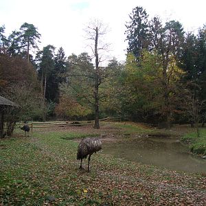 Ljubljana Zoo October 2013