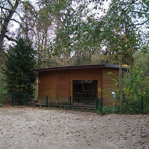 Ljubljana Zoo October 2013