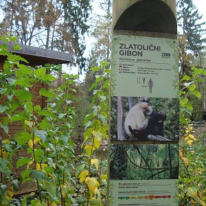 Ljubljana Zoo October 2013