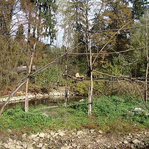 Ljubljana Zoo October 2013