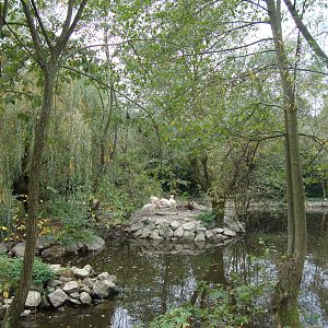 Ljubljana Zoo October 2013