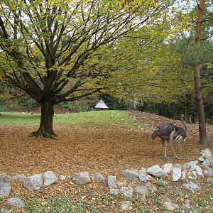 Ljubljana Zoo October 2013