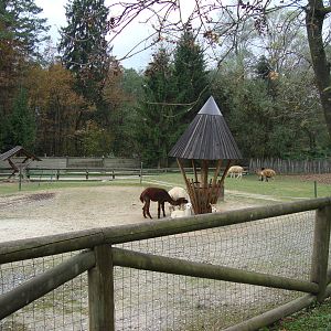 Ljubljana Zoo October 2013