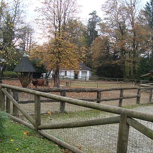 Ljubljana Zoo October 2013