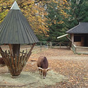 Ljubljana Zoo October 2013