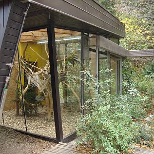 Ljubljana Zoo October 2013