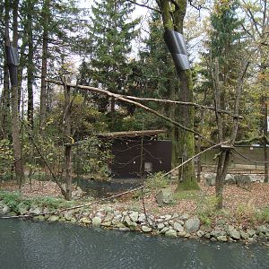 Ljubljana Zoo October 2013