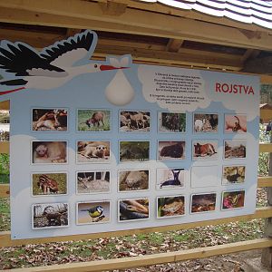 Ljubljana Zoo October 2013