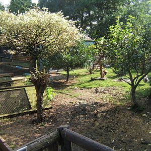 British Wildlife Rescue Centre at Amerton Farm