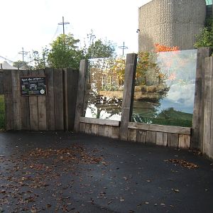 View of Malayan Tapir enclosure