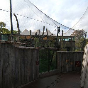 View of Sumatran Tiger enclosure