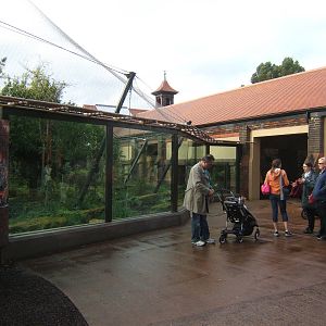 View of Sumatran Tiger enclosure