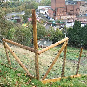 View of new Gelada enclosure