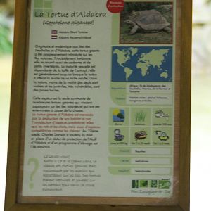 Aldabra giant tortoise sign