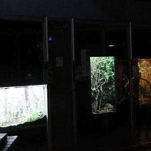 Inside the Tropical house
