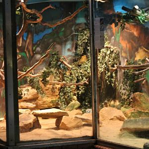 Snake enclosure