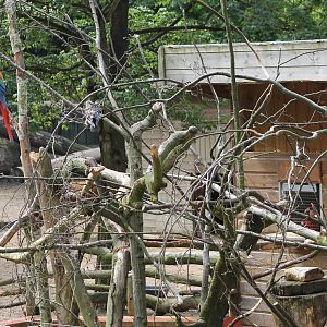 Macaw enclosure