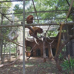 red howler monkeys brasilia zoo