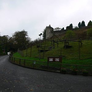 Gelada exhibit at Dudley, 02/11/13