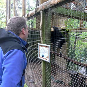 Giraffe meets Raven at Dudley, 02/11/13
