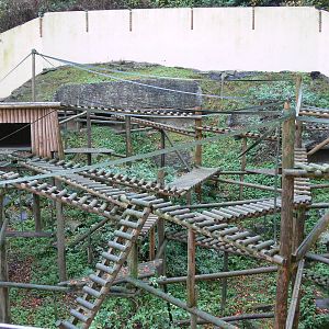 Macaque exhibit at Dudley, 02/11/13