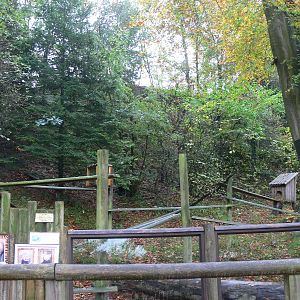 Red Panda exhibit at Dudley, 02/11/13
