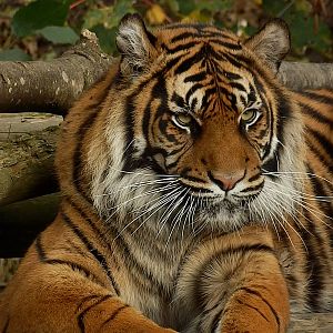 Daseep posing 2-11-13