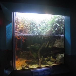 World Rivers - Mississippi Tank