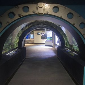 Nov. 2013  - Caribbean Cove Tunnel