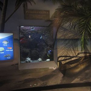 Shore Gallery - Flooded Crater, Hawaii Tank