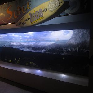 Shore Gallery - Surge Zone Tank