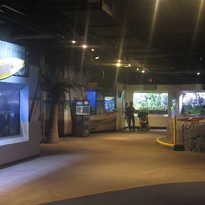 Nov. 2013 - Shore Gallery