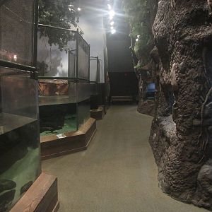 Nov. 2013 - Gator Alley