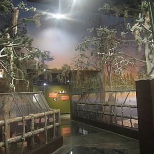 Nov. 2013 - Gator Alley - Orinoco Crocodile Exhibit