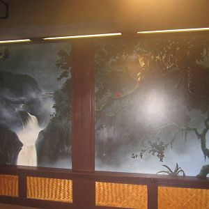 Nov. 2013 - Rainforest Mural