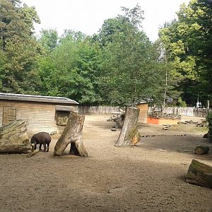 South american enclosure