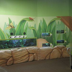 Nov. 2013 - Frog Bog - Wall Exhibits