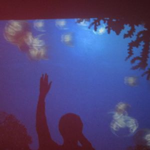 Nov. 2013 - Jellyfish Gallery - Interactive Projection