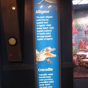 Nov. 2013 - Dangerous and Deadly - Alligator + Crocodile Sign