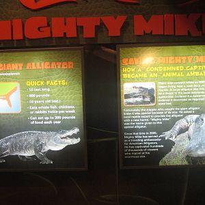 Nov. 2013 - Gator Alley - Mighty Mike Signs