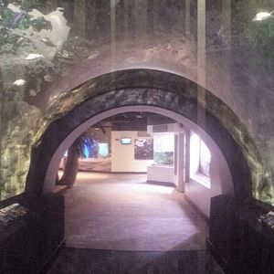 Nov. 2013 - Caribbean Cove Tunnel - Panorama