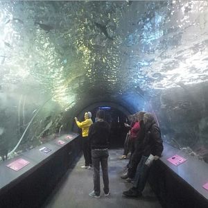 Nov. 2013 - Coral Reef - Panorama