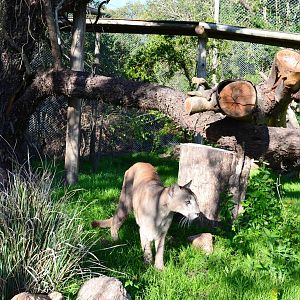 exploring the new home