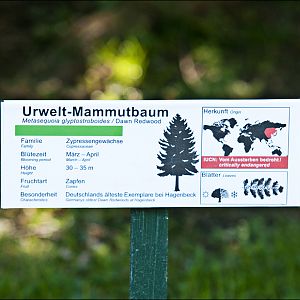 Example of new tree-sign at Hamburg