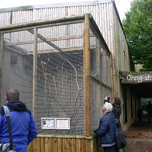 Lorikeet exhibit at Dudley, 02/11/13