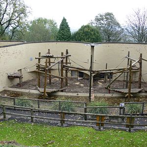Orangutan exhibits at Dudley, 02/11/13