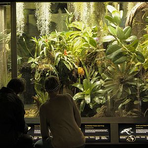 Large rainforest exhibit