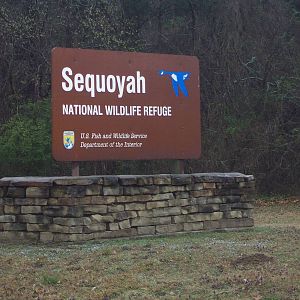 Sequoyah NWR - Oklahoma